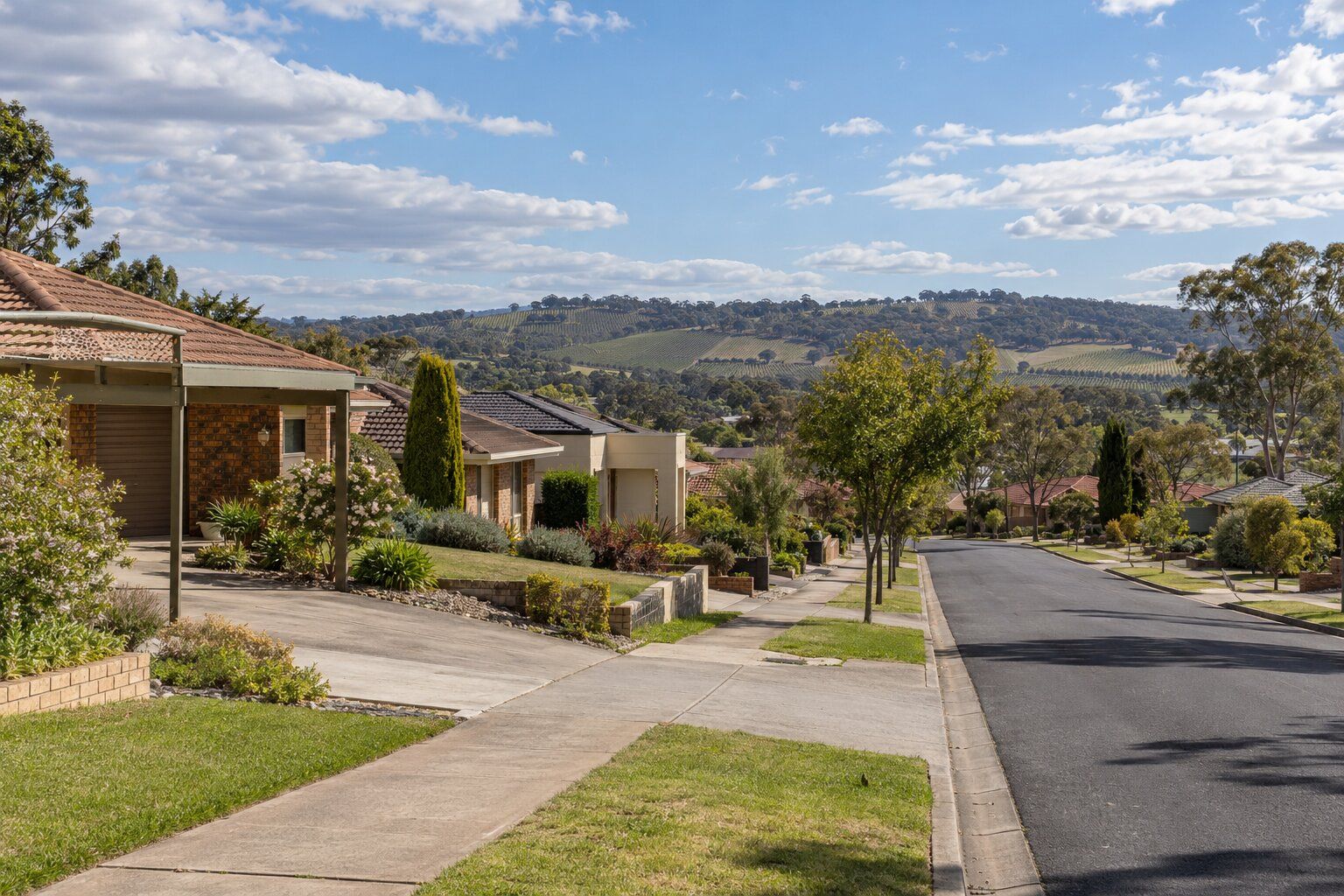 Carpenter, southern suburbs Adelaide: brick homes and a carport on a sloping street, with vineyards and hills beyond